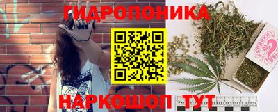 ECSTASY Заволжье