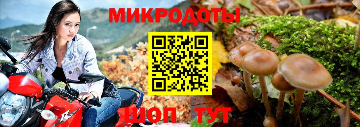 Псилоцибиновые грибы Cubensis  Вход с VPN  Галлюциногенные грибы Psilocybe  Магадан 